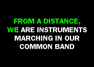 FROM A DISTANCE,
WE ARE INSTRUMENTS
MARCHING IN OUR
COMMON BAND