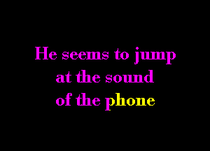 He seems to jmnp

at the sound
of the phone