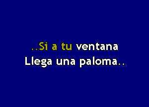 ..51' a tu ventana

Llega una paloma..