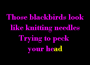 Those blackbirds look
like knitting needles
Trying to peek
your head