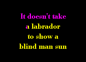 It doesn't take
a labrador

to show a

blind man sun