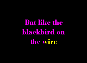 But like the

blackbird on

the Wire