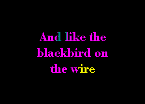 And like the

blackbird on

the Wire