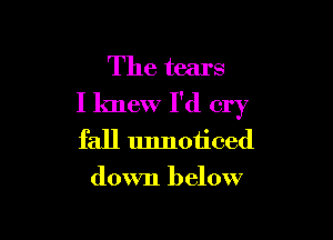 The tears
I knew I'd cry

fall unnoticed
down below