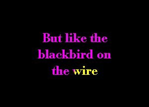 But like the

blackbird on

the Wire