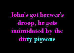 J ohn's got brewer's
droop, he gets
intimidated by the

dirty pigeons