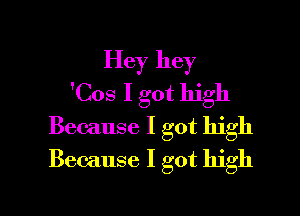 Hey hey
'Cos I got high

Because I got high
Because I got high