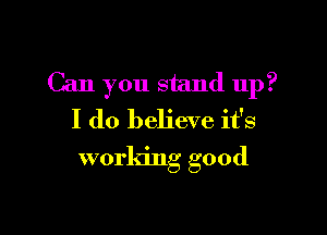 Can you stand up?

I do believe it's
working good