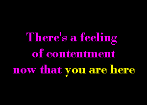 There's a feeling

of contentment
now that you are here