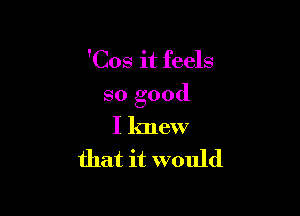 'Cos it feels

so good

I knew
that it would