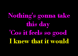 Nothing's gonna take
this day

'Cos it feels so good

I knew that it would