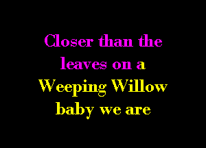 Closer than the

leaves on a

W eeping W illow

baby we are