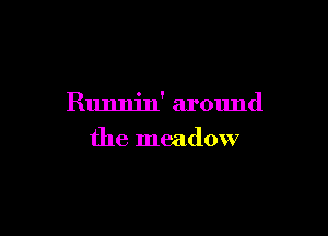 Runnin' around

the meadow
