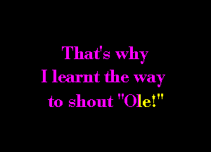 That's Why

I learnt the way
to shout Ole!