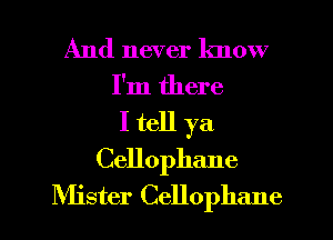 And never know
I'm there
I tell ya
Cellophane
Mister Cellophane