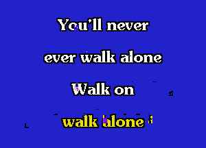 You'll never

ever Walk alone

1Walk on
walk Ltlone 5