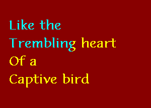 Like the
Trembling heart

Of a
Captive bird