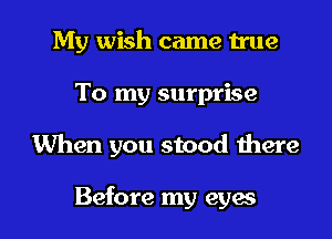 My wish came true
To my surprise

When you stood there

Before my eyes I