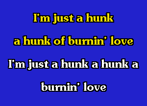 I'm just a hunk
a hunk of bumin' love
I'm just a hunk a hunk a

bumin' love