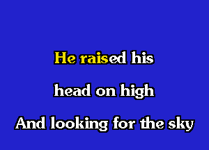 He raised his
head on high

And looking for 1119 sky