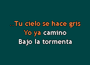 ..Tu cielo se hace gris

Yo ya camino
Bajo Ia tormenta