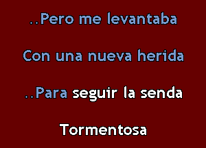 ..Pero me levantaba

Con una nueva herida

..Para seguir la senda

Tormentosa