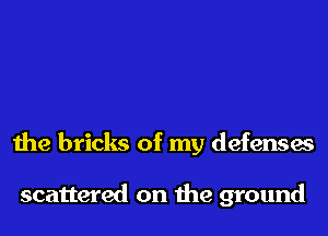 the bricks of my defenses

scattered on the ground