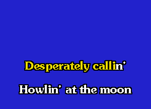 Desperately callin'

Howlin' at the moon