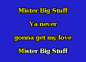 Mister Big Stuff

Ya never

gonna get my love

Mister Big Stuff