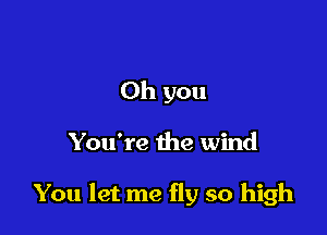 Oh you

You're the wind

You let me fly so high