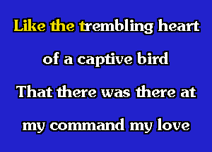 Like the trembling heart
of a captive bird
That there was there at

my command my love