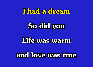 I had a dream

So did you

Life was warm

and love was true