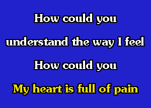 How could you
understand the way I feel
How could you

My heart is full of pain