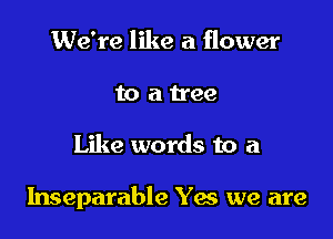 We're like a flower
to a tree

Like words to a

Inseparable Yes we are