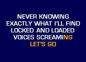 NEVER KNOWING
EXACTLY WHAT I'LL FIND
LOCKED AND LOADED
VOICES SCREAMING
LET'S GO