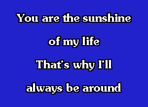 You are the sunshine
of my life

That's why I'll

always be around