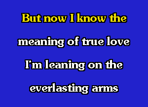 But now I know the
meaning of true love
I'm leaning on the

everlasting arms