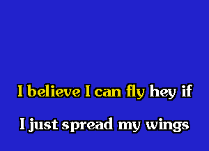 I believe 1 can fly hey if

Ijust spread my wings