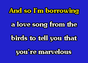 And so I'm borrowing
a love song from the
birds to tell you that

you're marvelous