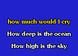 how much would I cry
How deep is the ocean

How high is the sky