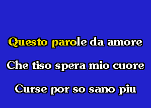 Questo parole da amore
Che tiso spera mio cuore

Curse por so sano piu