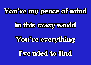 You're my peace of mind

in this crazy world

You're everything

I've tried to find