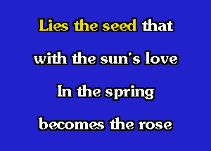 Lies the seed that

with the sun's love

In the spring

becomes the rose