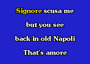 Signore scusa me

but you see

back in old Napoli

That's more