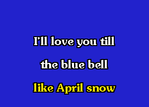 I'll love you till
the blue bell

like April snow