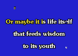 ll

Or maybe it is life itself

that feeds wisdom

to its youih e