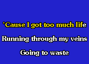 'Cause I got too much life
Running through my veins

Going to waste