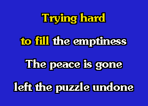Trying hard
to fill the emptiness
The peace is gone

left the puzzle undone