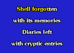 Shell forgotten
with its memories
Diarias left

with cryptic entries