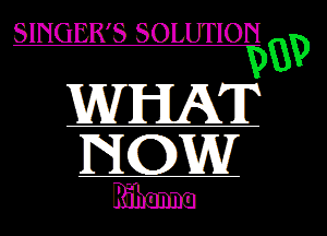 SINGER'S SOLUTION

WHAT
NQW
381mm
